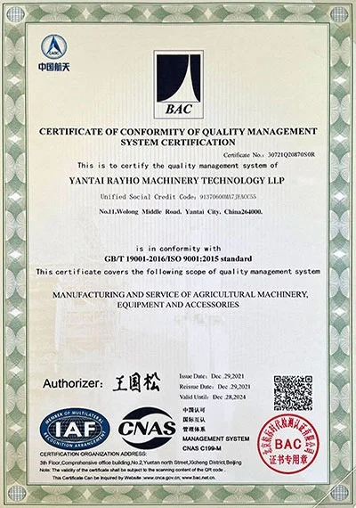 ISO 9001-Rayhoo